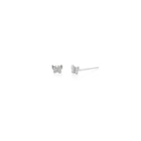 Flutter Studs